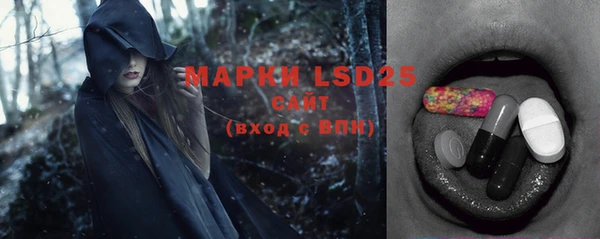ГАЛЛЮЦИНОГЕННЫЕ ГРИБЫ Няндома