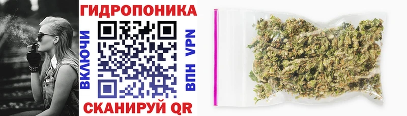 Каннабис ГИДРОПОН  Мышкин 